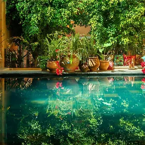 Riad Roxanne, Marrakesh