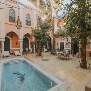 Riad Le Perroquet Bleu &